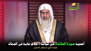 أهمية سورة المائدة فى حياتنا ؟ كلام غاية فى الجمال مع فضيلة الشيخ مصطفى العدوى