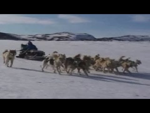 Video: Fyodor Konyuxovun tərcümeyi-halı. Rus səyyahı və rəssamı