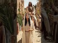 #faith #follow #jesus #travel #spiritual #love #motivational #horse #palmsunday