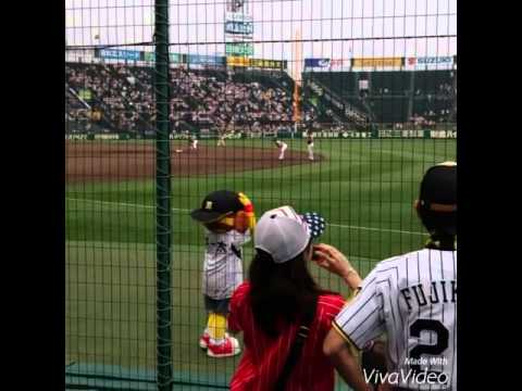 2014.6.17 阪神vs日本ハム 試合前
