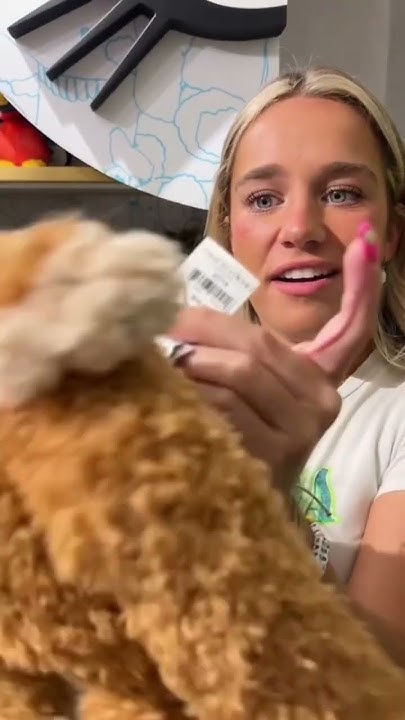 guess-the-price-of-jellycats-in-nyc-they-are-cute-but-why-so