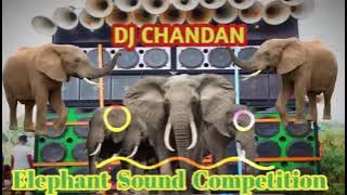 New compition elephant horn sairan hard bass dj song