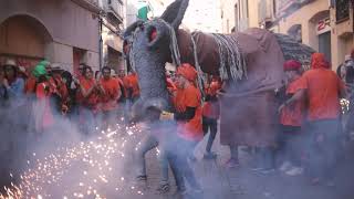 Correcuita del PETIT Camell Festa Major 2022