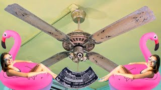 Download Lagu Vintage Khaitan LUMAIR 4 Blades x 1400mm Ceiling Fan vs Pink Swan Shaped Inflatable Floating Ring 🦢💖 MP3 Download Lagu Vintage Khaitan LUMAIR 4 Blades x 1400mm Ceiling Fan vs Pink Swan Shaped Inflatable Floating Ring 🦢💖 MP3