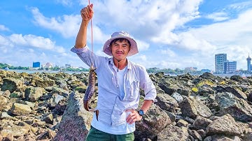 Đi câu cá chình và cá mao ếch, bắt cúm và đục hàu dưới những tảng đá khi triều xuống