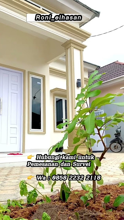 Jalan ampera kota baru pontianak #shorts #short #shortvideo