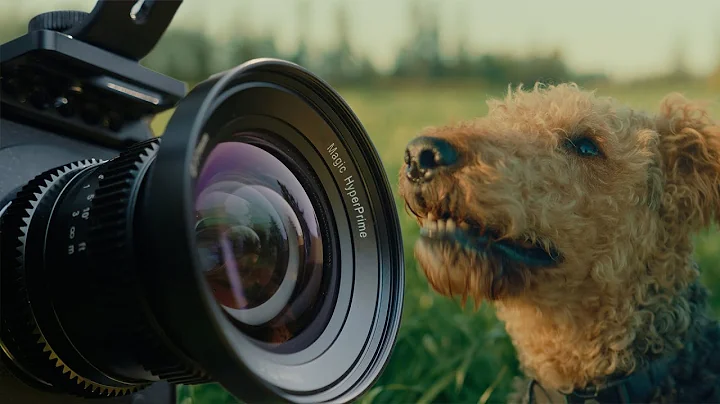 Forgotten cinema lenses ANYONE can afford!