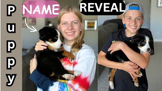 puppy name reveal