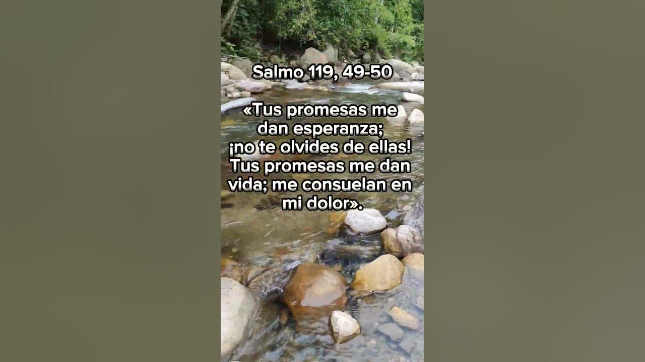 Salmo 119 49 50 palabradedios diosteama fe YouTube salmo-119-explicado-youtube