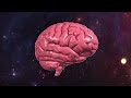 O Cérebro tem 86 bilhões de Neurônios
