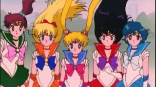Sailor Moon Series Swallow