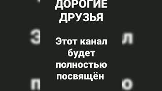 НОВЫЙ КАНАЛ ПРО ШИНШИЛЛ!!!