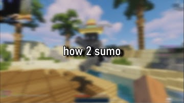 how 2 sumo (tutorial)