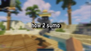 how 2 sumo (tutorial) screenshot 4