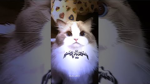 𝐍𝐄𝐖 𝐄𝐍𝐆𝐋𝐈𝐒𝐇 𝐒𝐎𝐍𝐆 |=| 𝐋𝐘𝐑𝐈𝐂𝐒 𝐀𝐋𝐈𝐆𝐇𝐓_-_𝐌𝐎𝐓𝐈𝐎𝐍 𝐗𝐌𝐥𝐟𝐢𝐥🔰✅ #xml#alightmotion #edit @BabuEditz-sp6uy