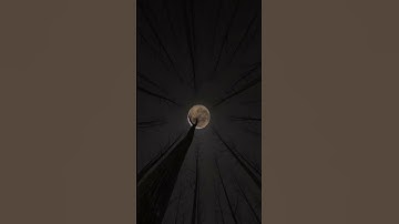 #music #new #snippet #vloneqrack