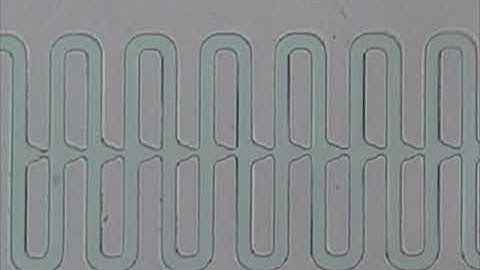 Deterministic Capture of Individual Circulating Tumor Cells Using a Microfluidic Trap Array