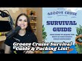 Groove cruise 2024 survival guide packing list  set times