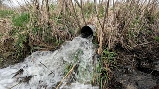 “PIPE EXPLOSION” Beaver Dam Removal Sends Water Busting Through Culvert