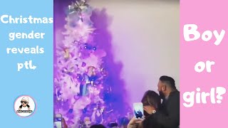 2018 Christmas Gender Reveal Ideas / Pregnancy announcement