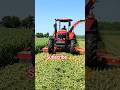 Aa gya bda tractor field pr #automobile #kisan #farming #shorts  #viral #reels