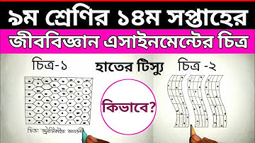 Class 9 14th Week Biology Assignment | ৯ম শ্রেণির ১৪ম সপ্তাহের জীববিজ্ঞান এসাইনমেন্টে