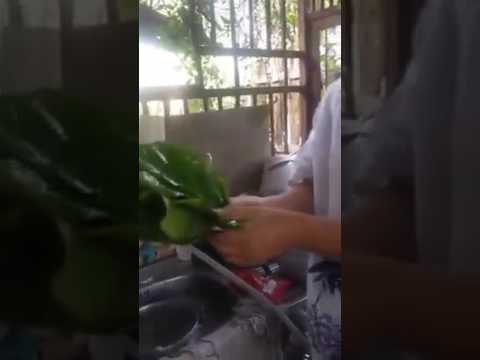 5 แนวทางลดน้ำตาลในเลือด ลดโรคเบาหวาน แบบปลอดภัย