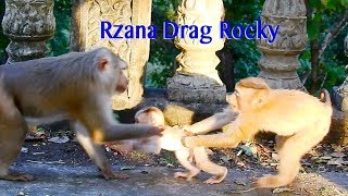 OMG Sister Rozana Looking So Strange Try To Drag Brother Baby Rocky From Mama Rozy So Many Times