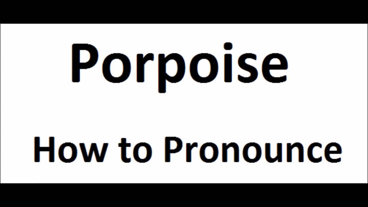 How to pronounce Porpoise||How to say Porpoise||Porpoise Pronunciation