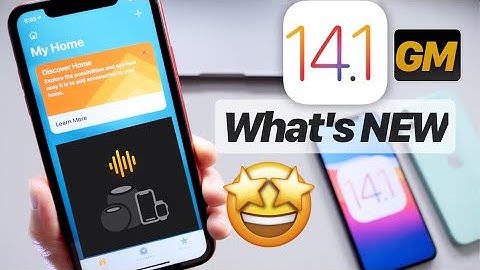 iOS 14.1 What’s New?