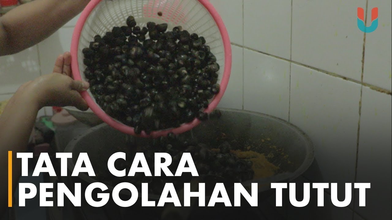 Tata Cara Pengolahan Tutut 