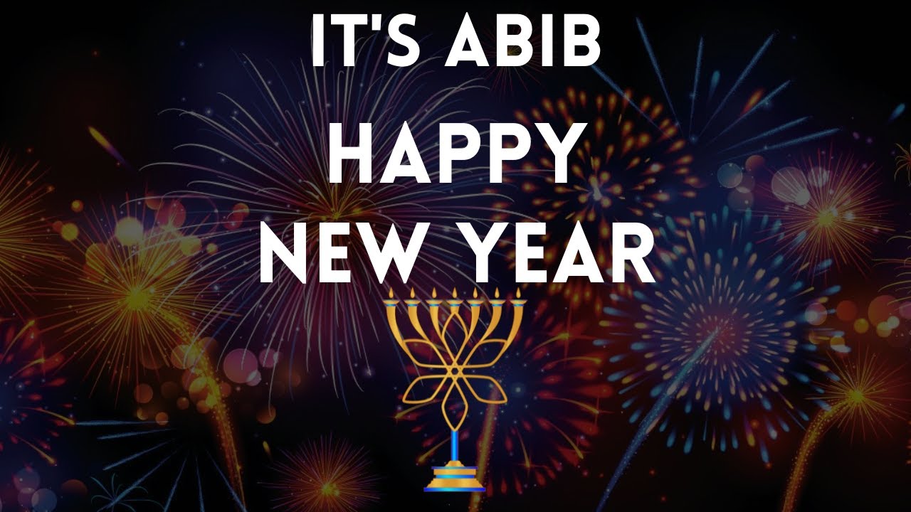 It's ABIB Happy New Year! YouTube