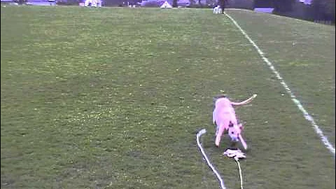 hand lure 2013 01 05 17 56 09