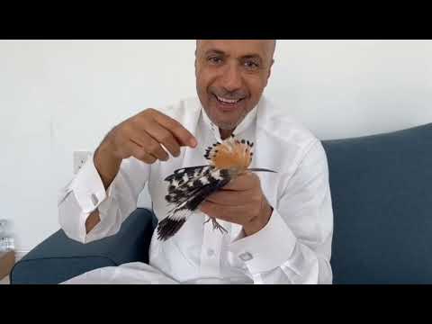 و ج ئ ت ك م ن س ب إ ب ن ب إ ي ق ين