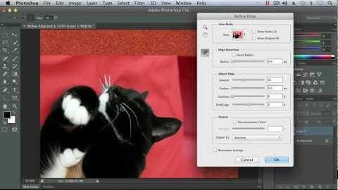 Using the Refine Edge Command - Adobe Photoshop CS6 Tutorial