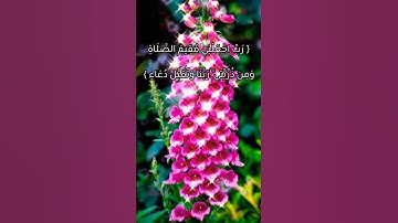 سورة إبراهيم - الآية رقم 40