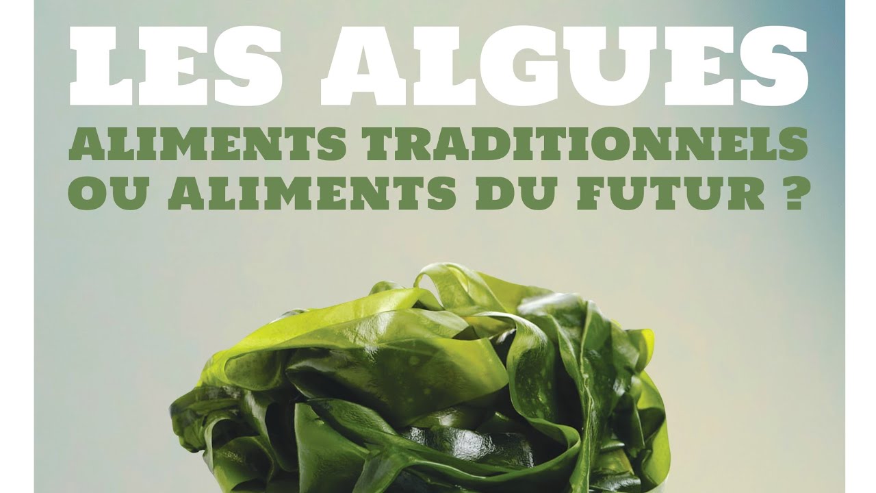 Planète conférences - Les algues : aliments traditionnels ou aliments du futur ?