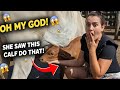 This Cow Farm Moment Will Shock You 😲 | Calf Drinking Milk | Real Life Vlog #rurallife #villagelife 