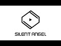 Silent angel hifi audio product overview currently