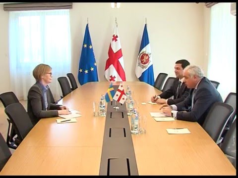 შს მინისტრი საქართველოში შვედეთის ელჩს შეხვდა