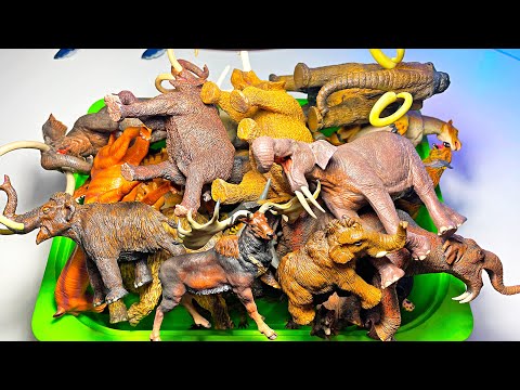 Prehistoric Animals Collection - Woolly Mammoth, Smilodon, Megacerops, Woolly Rhino, Mastodon