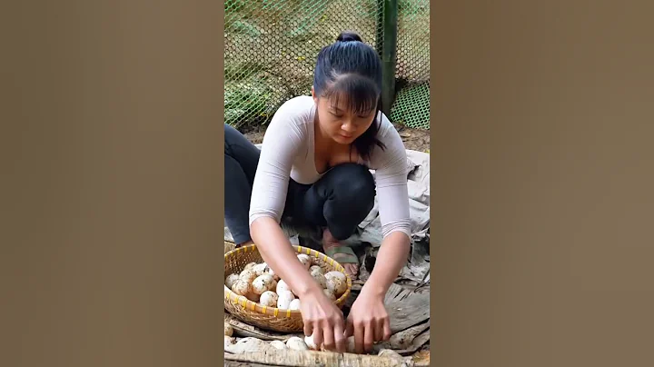 REWIND TIMELAPSE   180 Day Raise Ducks, Chicken & Harvest Ducks Eggs, Chicken Eggs 23