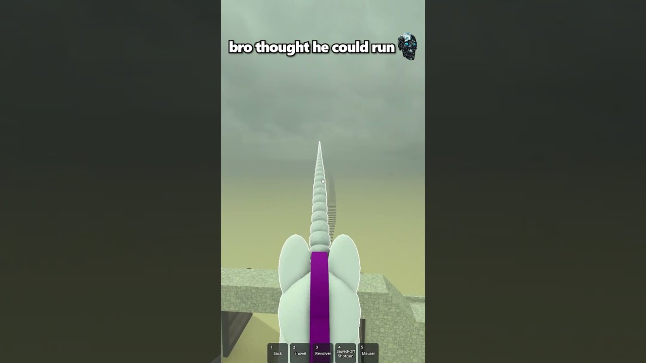 Bro Didn T Expect The Unicorn Flight Glitch 