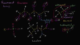 Functional Groups