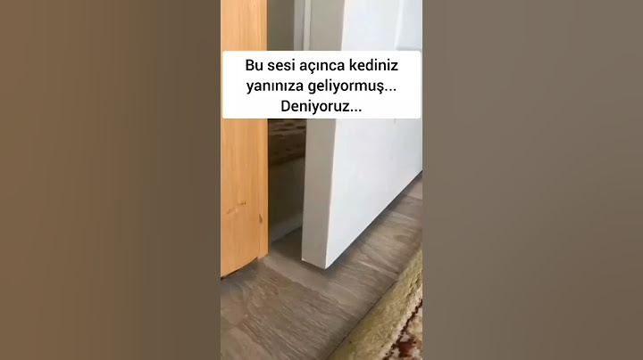 Bu Sesi Açınca Kediniz Yanınıza Geliyor (ŞOK ŞOK😮 ) sylmzz00