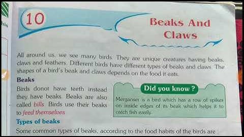 Class-4,EVS, lesson -10 Beaks and claws, part-1