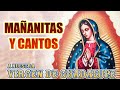 Mañanitas y Cantos Para La Virgen de Guadalupe 2022