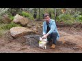 The Garden Gurus - Gabion Walls
