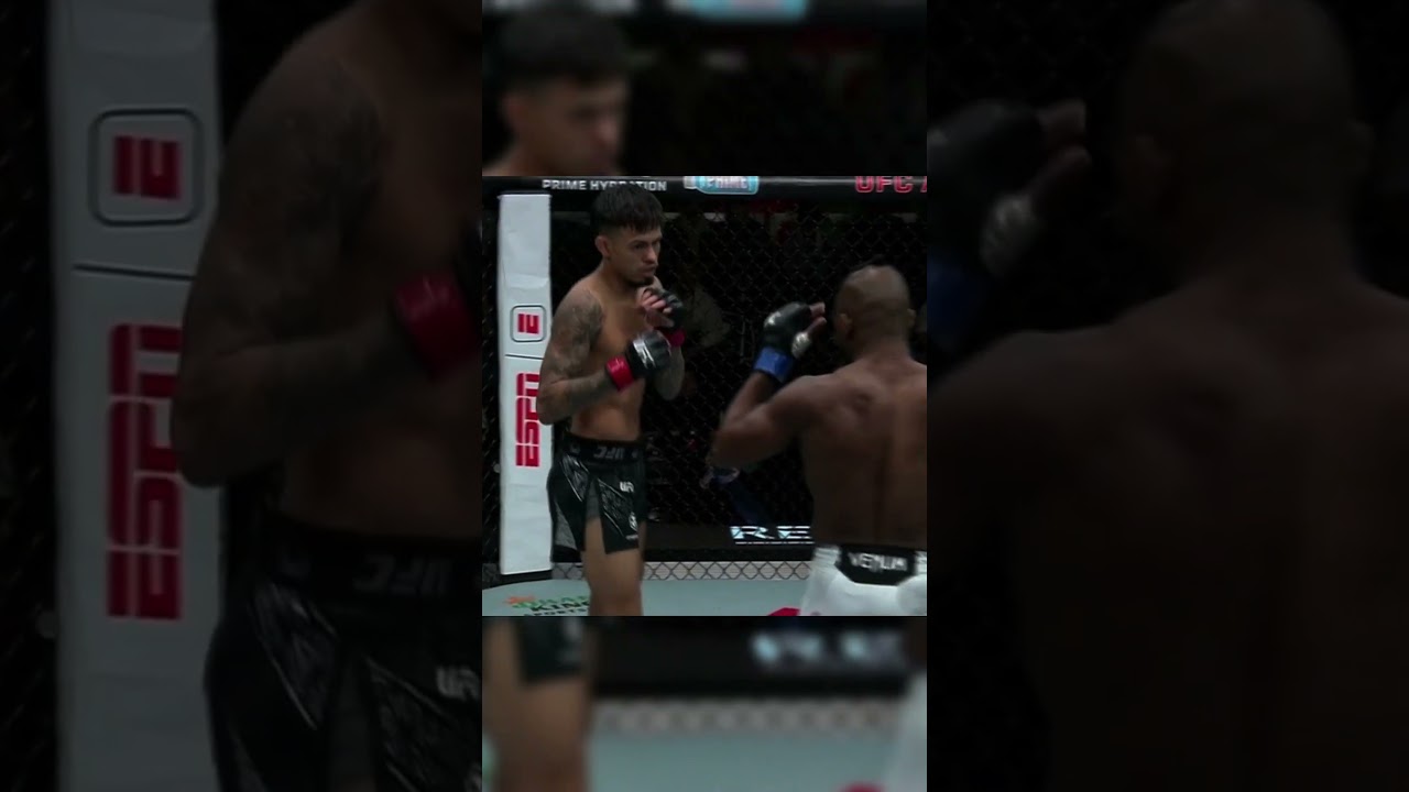 Brandon Royval vs Manel Kape KNOCKOUT