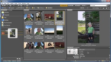 Bridge Creating Collections